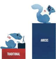 Traditional_amicus_graph